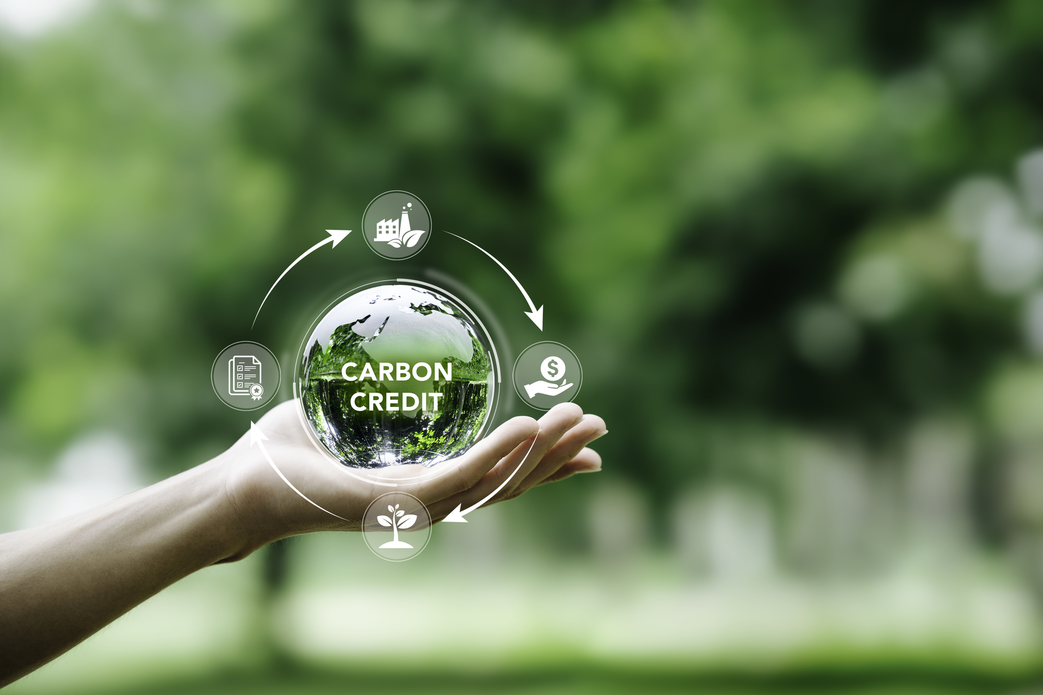 Carbon emission Carbon emission